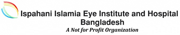 Infocrat logo